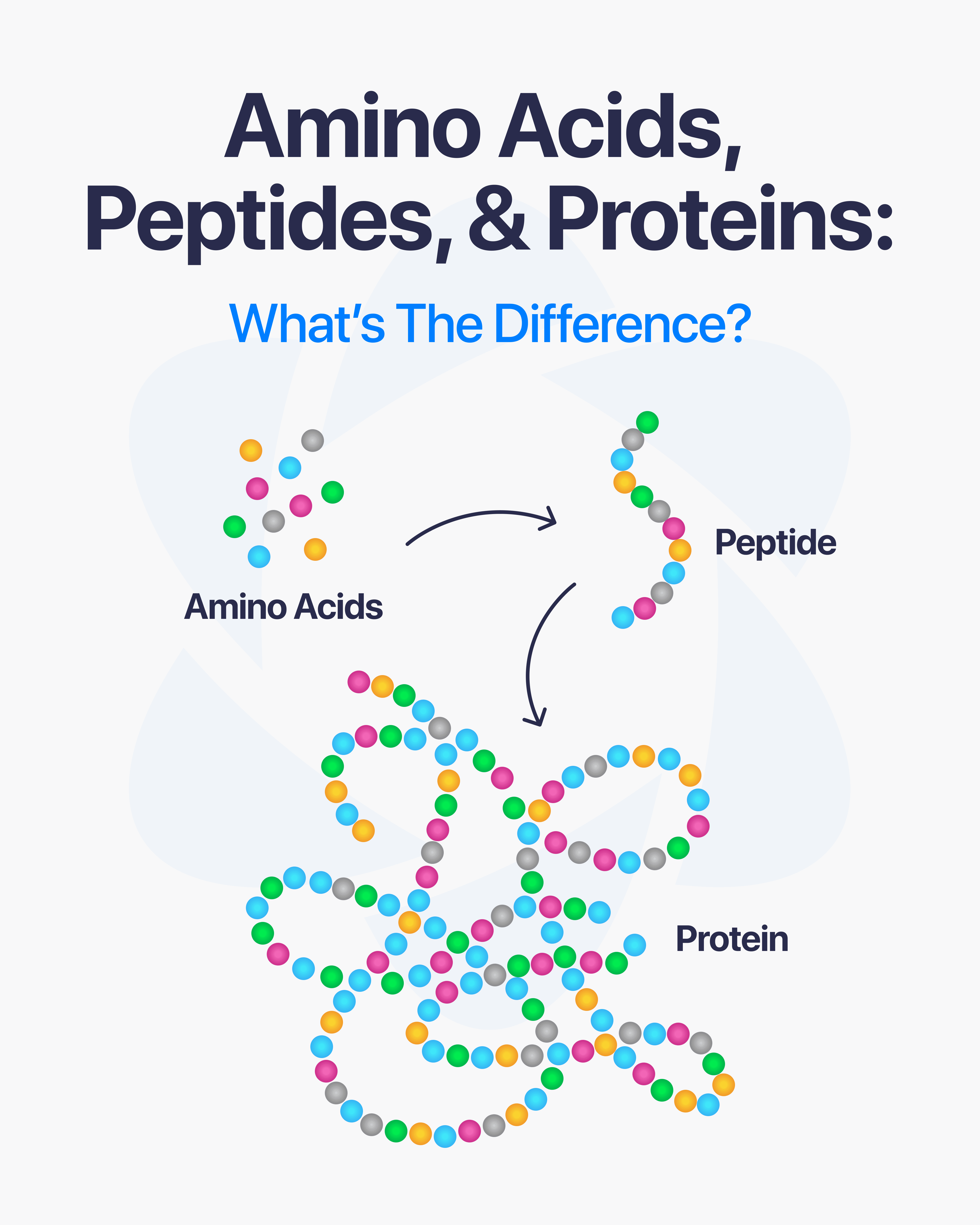 Direct Peptides — research peptide image