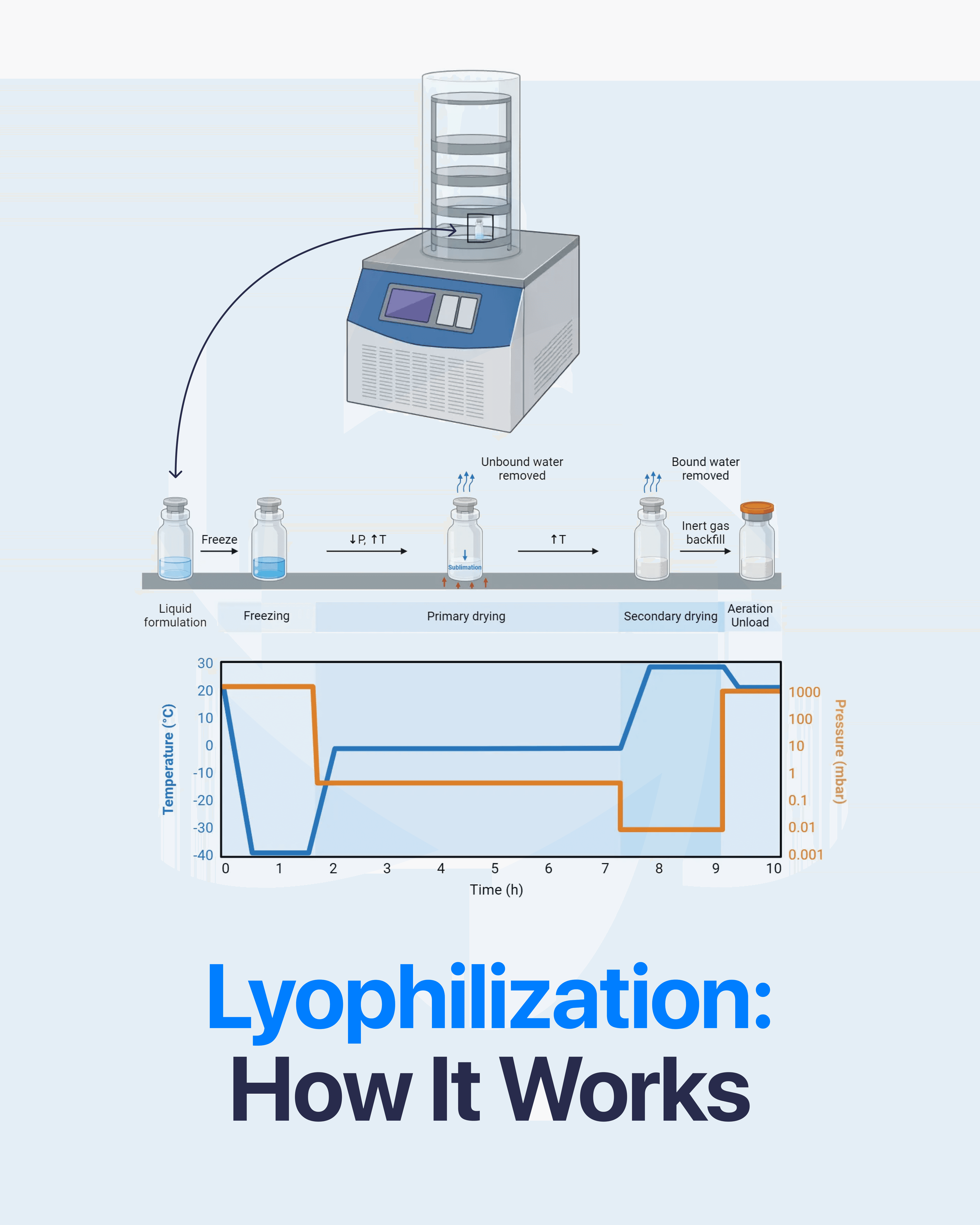 Direct Peptides — research peptide image