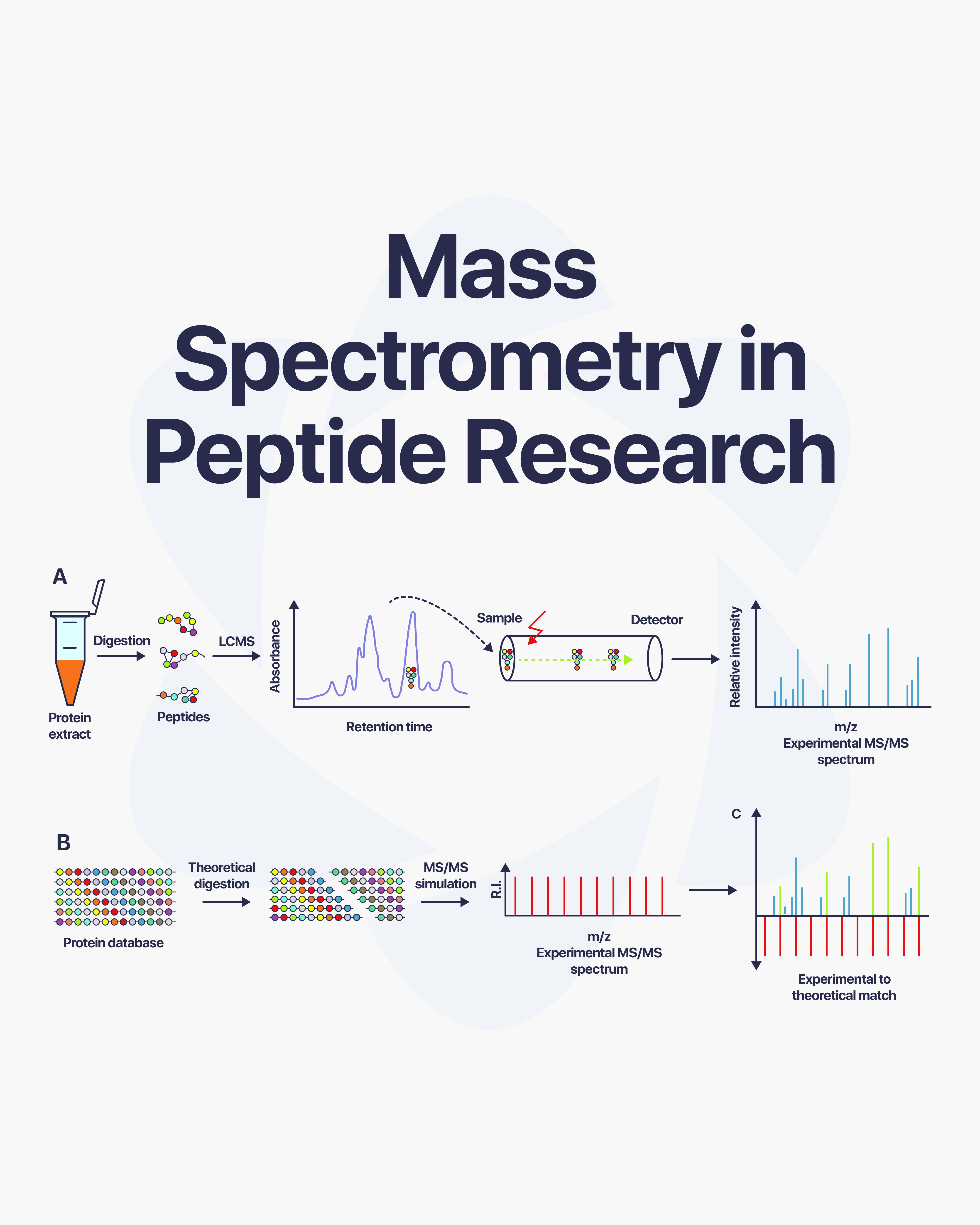 Direct Peptides — research peptide image