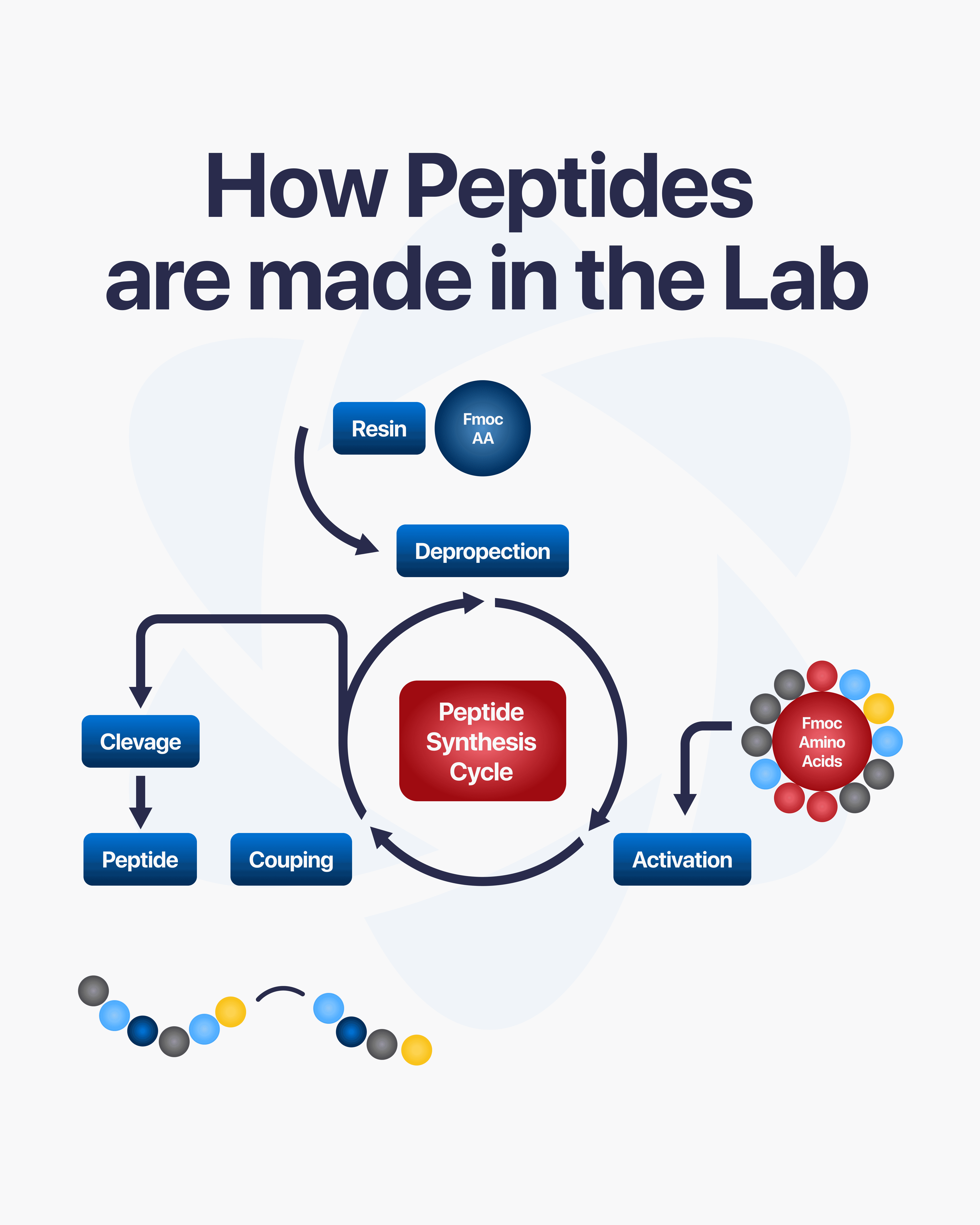 Direct Peptides — research peptide image