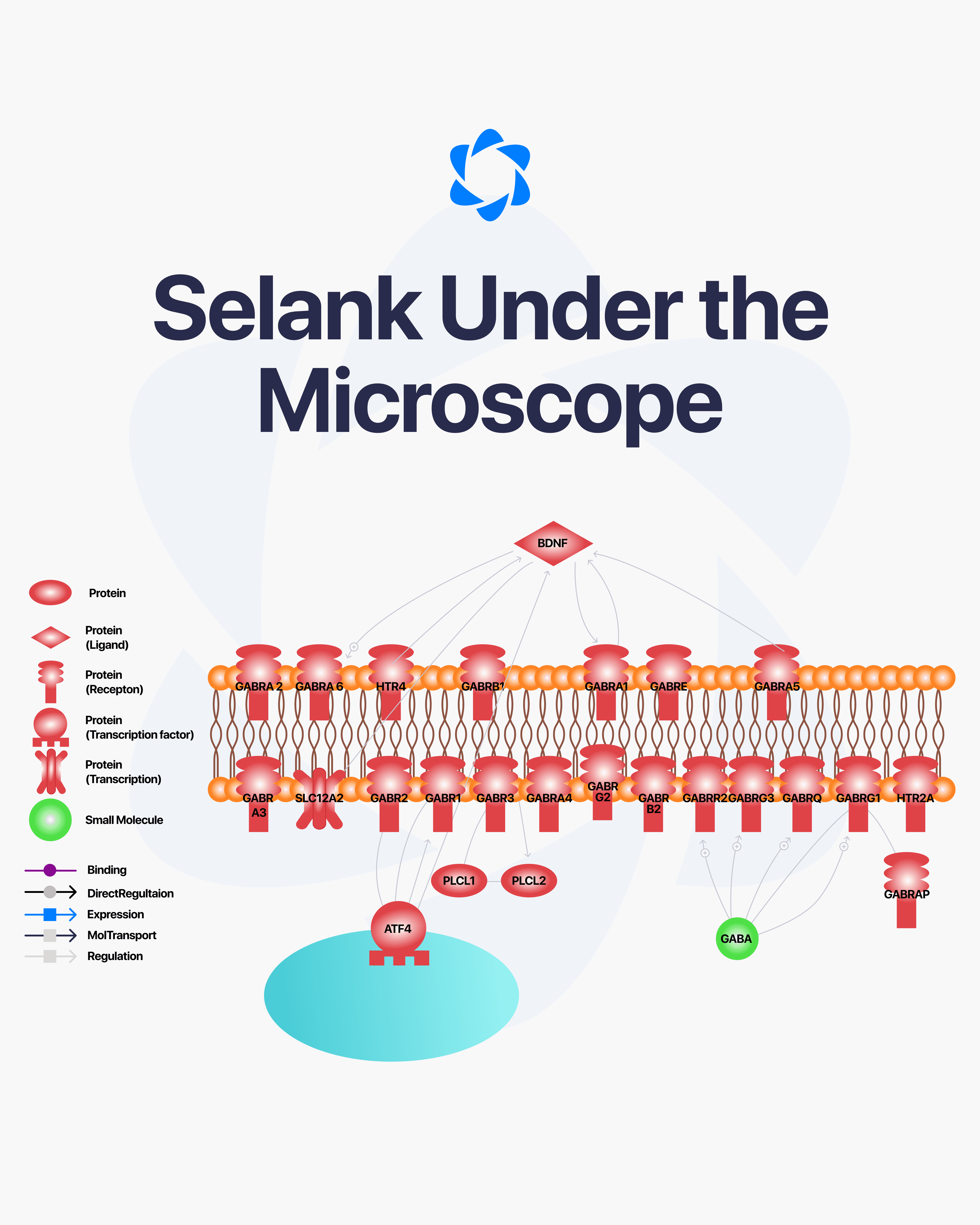 Direct Peptides — research peptide image
