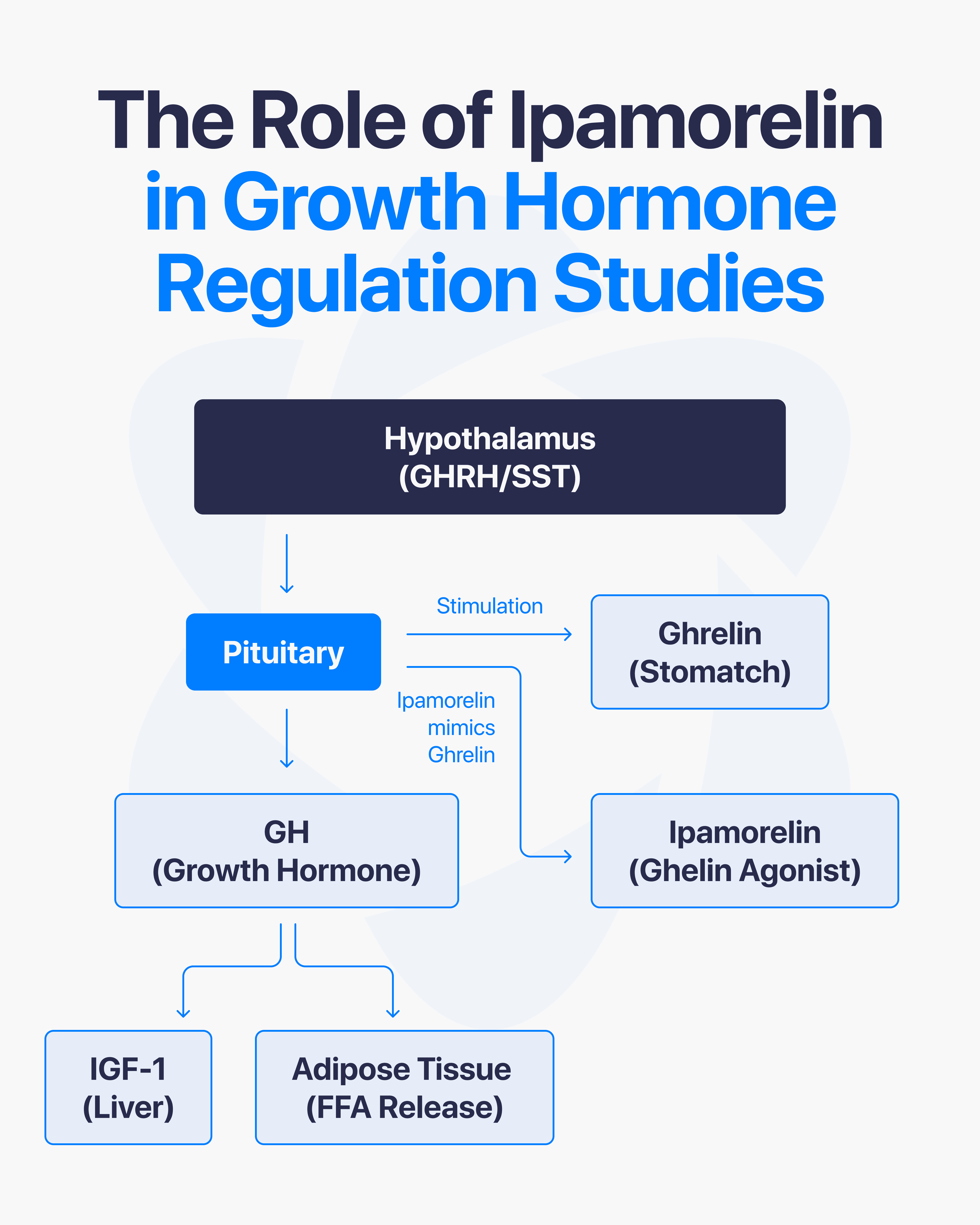 Direct Peptides — research peptide image