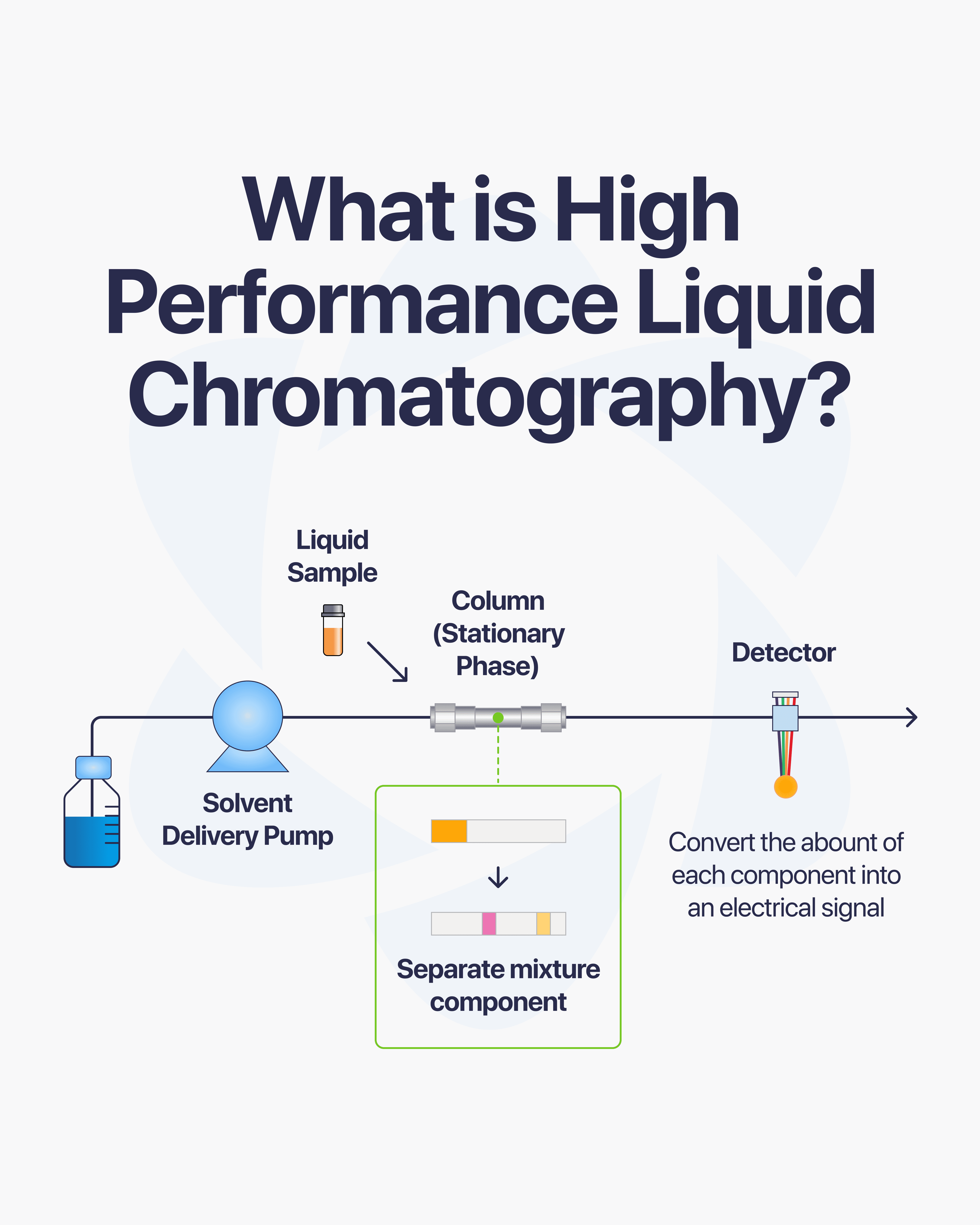 Direct Peptides — research peptide image